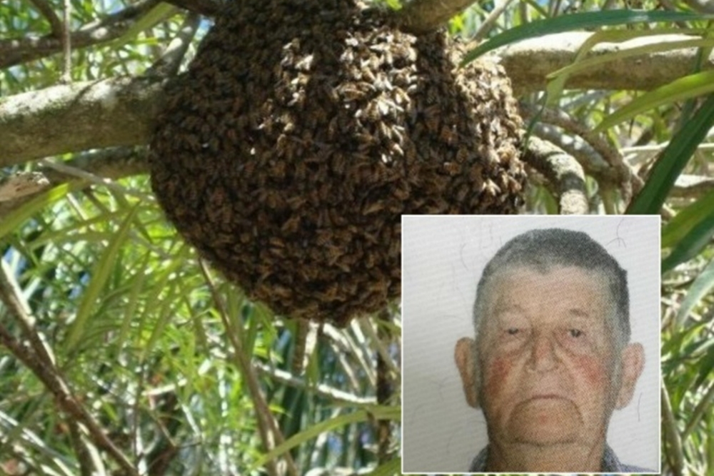 CapaNoticia